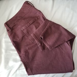 Torrid Skinny Jean's 20R - Wine Shade